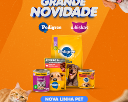Cuidado e Carinho em Cada Detalhe: Nova Linha Pet no...